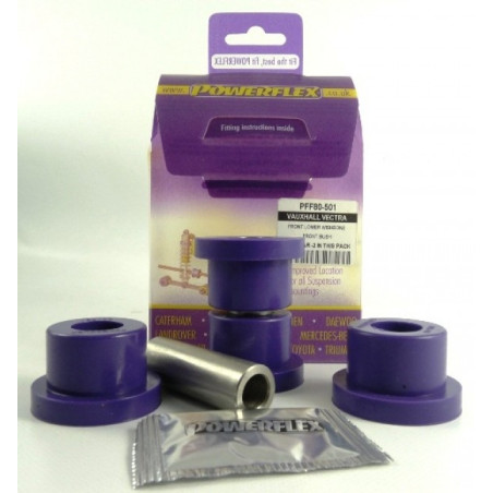 DELANTERO INFERIOR TRIANGULO DELANTERO SILENTBLOCK