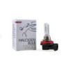 HALOGEN BULB MTECH H9 12V 65W PGJ19-5