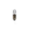 MTECH HALOGEN BULBS 12V BAX9S/H6W BLISTER 10 UNITS