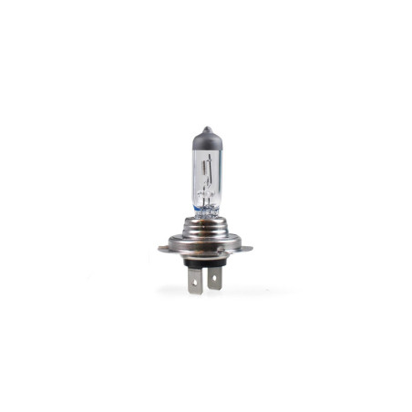MTECH H7 12V 100W HALOGEN BULB