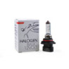 HALOGEN BULB MTECH HB4/9006 12V 55W