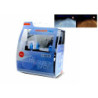 MTECH SUPER WHITE HALOGEN BULBS 12V H1 55W