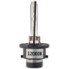 LÁMPARA XENÓN M-TECH BASIC D2S 12000K
