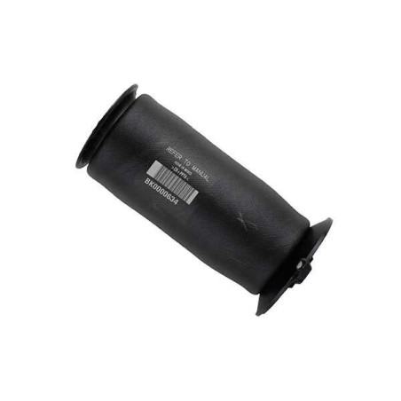 BILSTEIN B3 MUELLES(AIRMATIC) TRASERO AUDI A6 C6 H B3AM