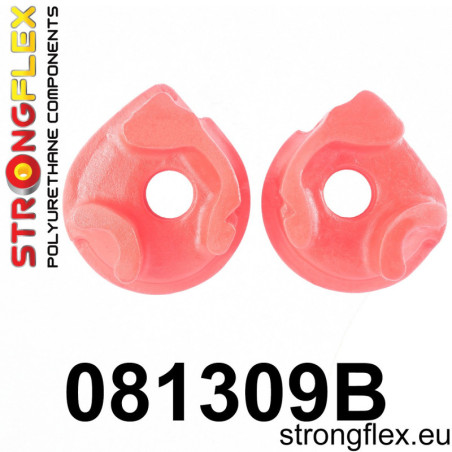 081309B RIGHT SUPERIOR ENGINE SOPORTE INSERTO