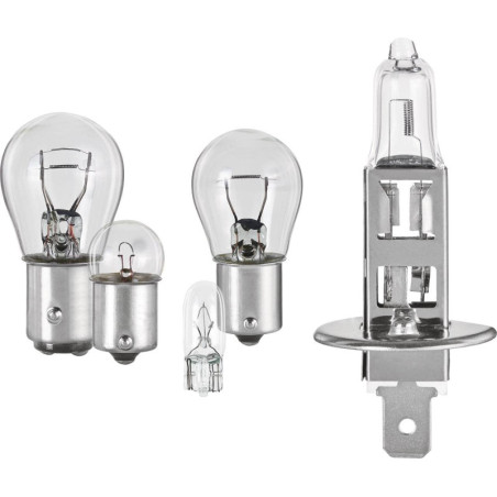 H1 SK100 REPLACEMENT LAMP SET
