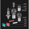 H1 SK100 REPLACEMENT LAMP SET