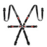 PRIME H-8 6 PT FHR HARNESS BLACK