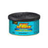 (STOCK LAST)AMBIENTADOR CS CAR SCENTS LAGUNA BREEZE