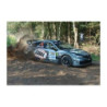AMORTIGUADOR DEPORTIVO COBRA REGULABLE SF490203R.14 EVO-R