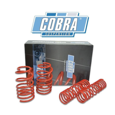 MUELLES DEPORTIVOS COBRA 14.9931