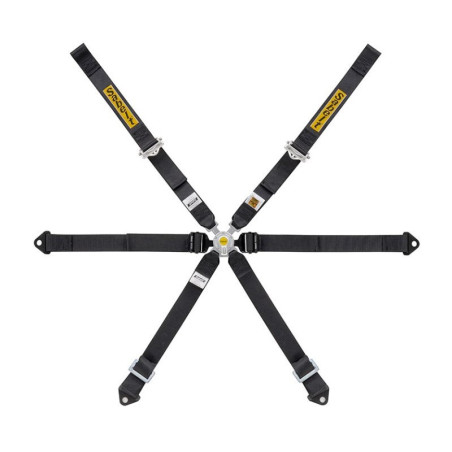 ARNES 6 PUNTOS GT4 991-984 FIA8853-2016 NEGRO