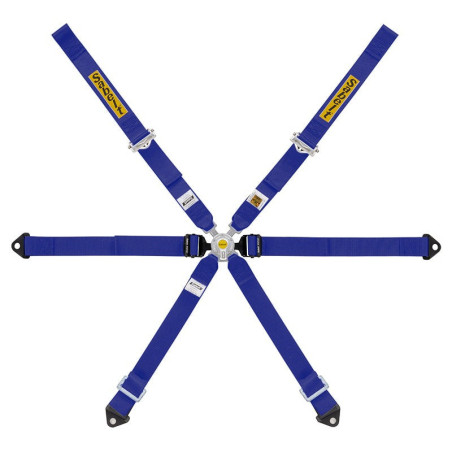 HARNESS 6 POINTS GT4 991-984 FIA8853-2016 BLUE