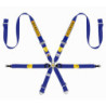 HARNESS 6 POINTS MIDDLE RANGE GT3 997-911 FIA8853-2016 BLUE