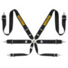 RALLY HARNESS 6 POINTS STEEL 3X3 FIA8853-2016 BLACK