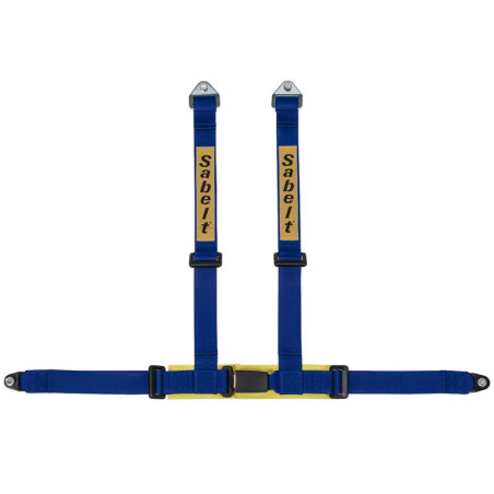 ARNES CLUBMAN (NO ECE APROBADO) 4 PUNTOS, AZUL, TORNILLO