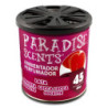 PERFUMADOR LATA GEL PIRULETA PARADISE 100GR CS12