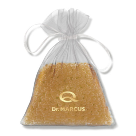 AMBIENTADOR DR. MARCUS MAGIC PEARLS GOLD ORCHID