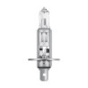 HALOGEN OSRAM 64155-01B P14,5S 24V 70W H1 &