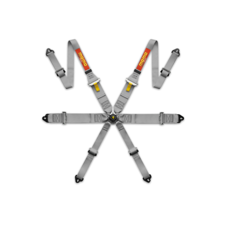 ARNÉS DE SEGURIDAD PROFESIONAL 6 PUNTOS 2/3 FHR-GRY