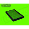 FILTRO SUSTITUCION GREEN P462893 PANEL