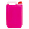 ANTIFREEZE 5L 10% PINK -4º CS4