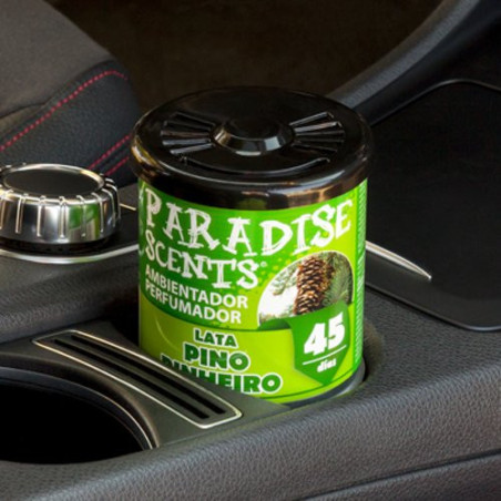 PERFUMADOR LATA GEL PINO 100GR PARADISE CS12