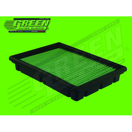 FILTRO SUSTITUCION GREEN P965034 PANEL