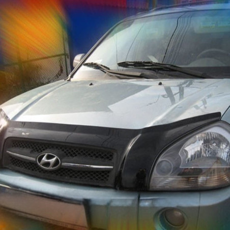 CARENADO PARA PARABRISAS HYUNDAI TUCSON 2004-2010 (PEGADOS)