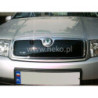 CARENADO PARA INVIERNO SKODA FABIA I 2000-2007