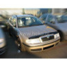 CARENADO PARA PARABRISAS SKODA OCTAVIA I 1996-2010 (PEGADOS)