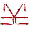 6PT P-2&quot FORMULA RED HARNESS