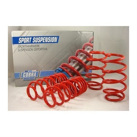 MUELLES DEPORTIVOS COBRA 07.8287