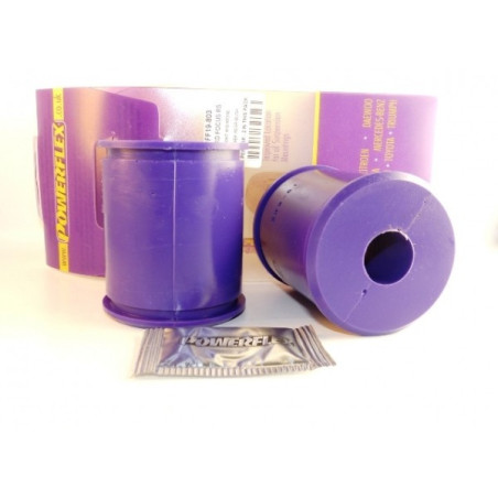 DELANTERO TRIANGULO INFERIOR TRASERO SILENTBLOCK